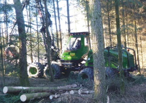 h-ds24.de  Forstwirtschaft